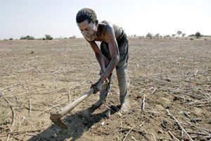 L’analyse de la vulnérabilité alimentaire et nutritionnelle a permis d’identifier, en situation projetée jusqu’au 30 septembre 2014, 20 provinces sous stress et 6 autres provinces qui passeront en situation de crise alimentaire, avec une population vulnérable estimée à environ 333.484 personnes. (DR)