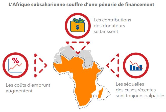 Sub-Saharan Africa: serious shortage of financing, according to the IMF